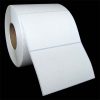 L-TT-60401P